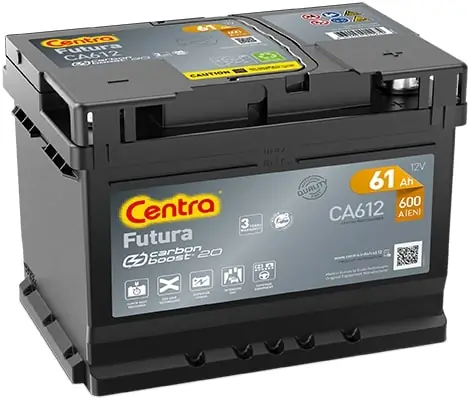 Starter Battery