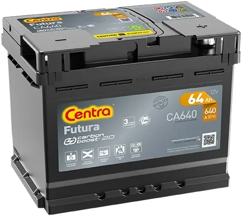 Starter Battery