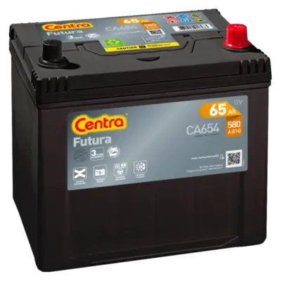 Starter Battery