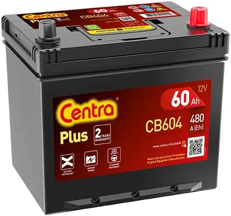 Starter Battery
