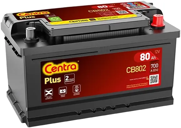 Starter Battery