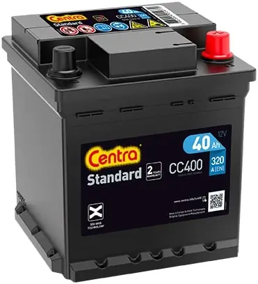 Starter Battery