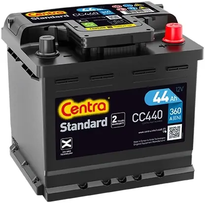 Starter Battery