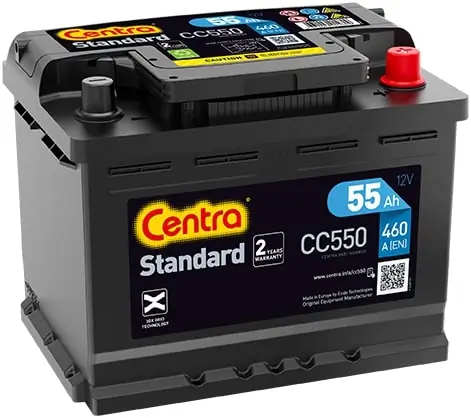 Starter Battery