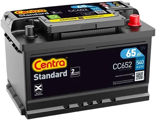 Starter Battery