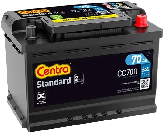 Starter Battery