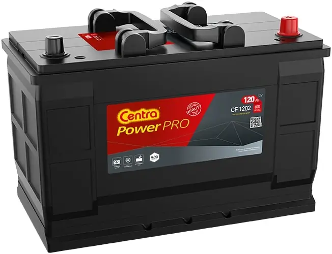 Starter Battery