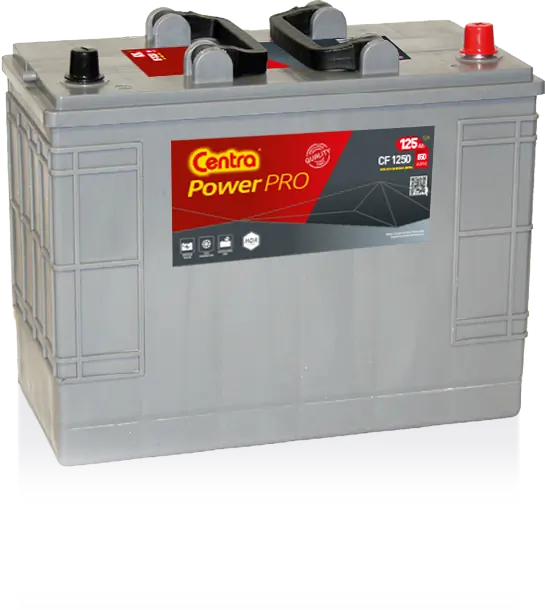 Starter Battery