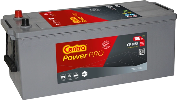 Starter Battery