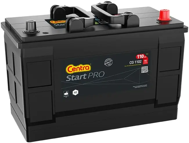 Starter Battery