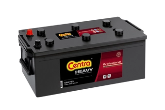 Starter Battery