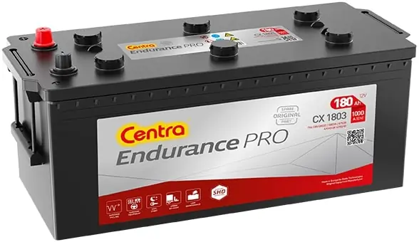 Starter Battery