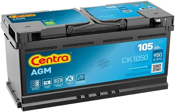 Starter Battery