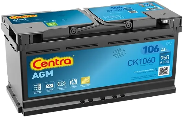 Starter Battery