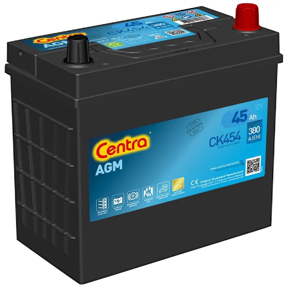 Starter Battery