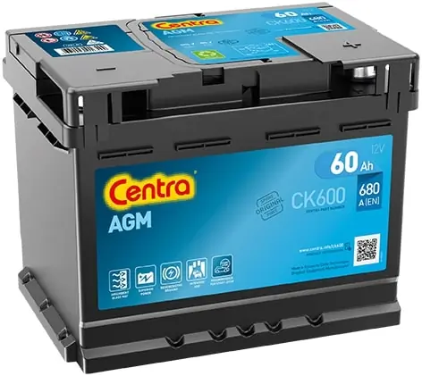 Starter Battery