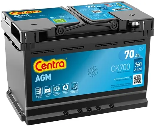 Starter Battery