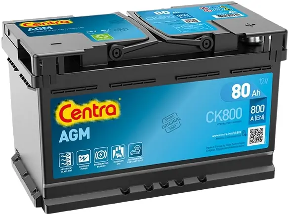 Starter Battery
