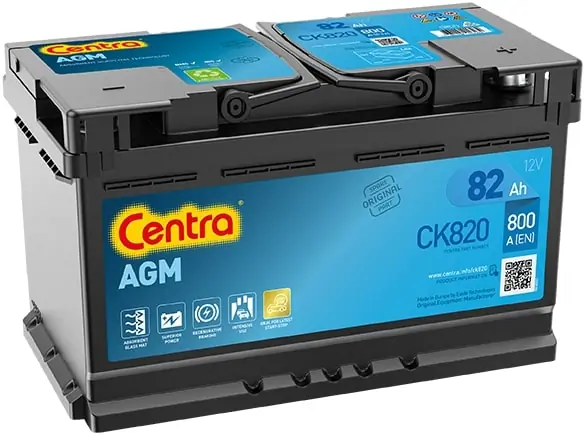 Starter Battery