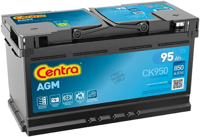Starter Battery