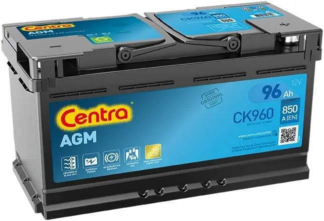 Starter Battery