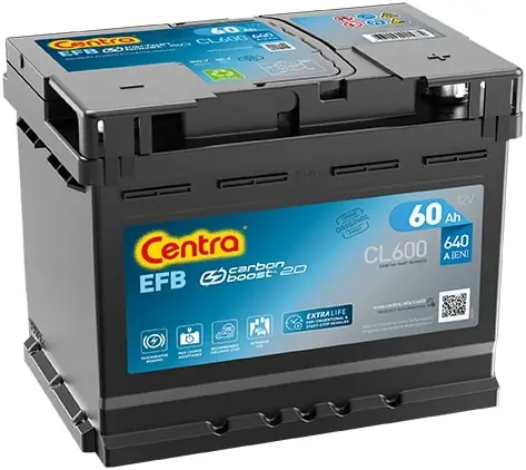 Starter Battery
