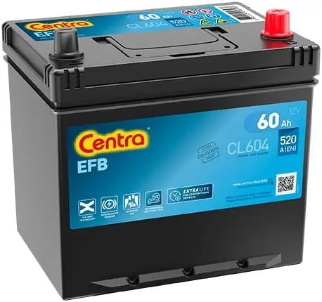 Starter Battery