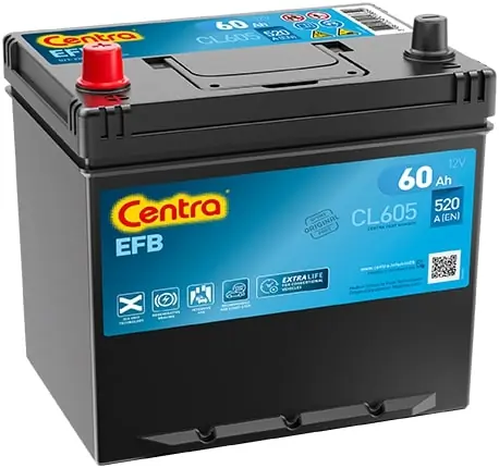Starter Battery