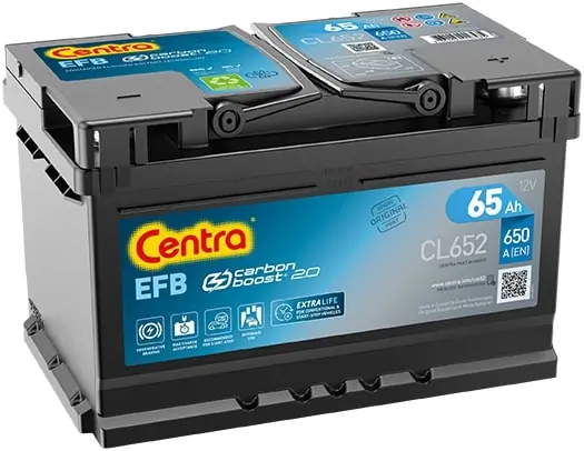 Starter Battery