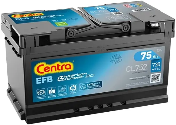 Starter Battery