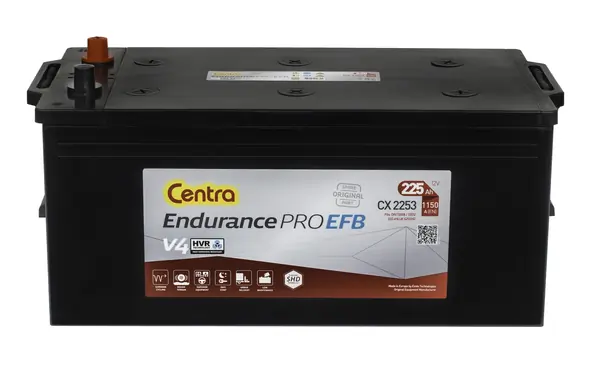 Starter Battery