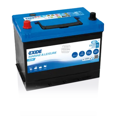 Starter Battery