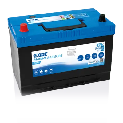 Starter Battery