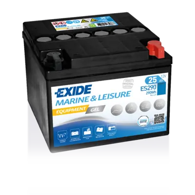 Starter Battery