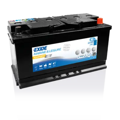 Starter Battery