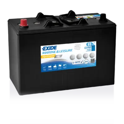 Starter Battery