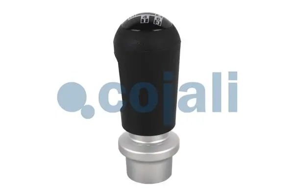 Gear Lever Knob