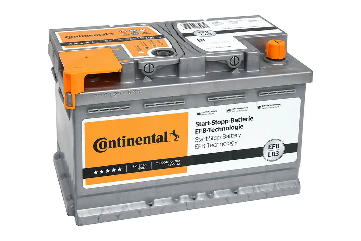 Starter Battery