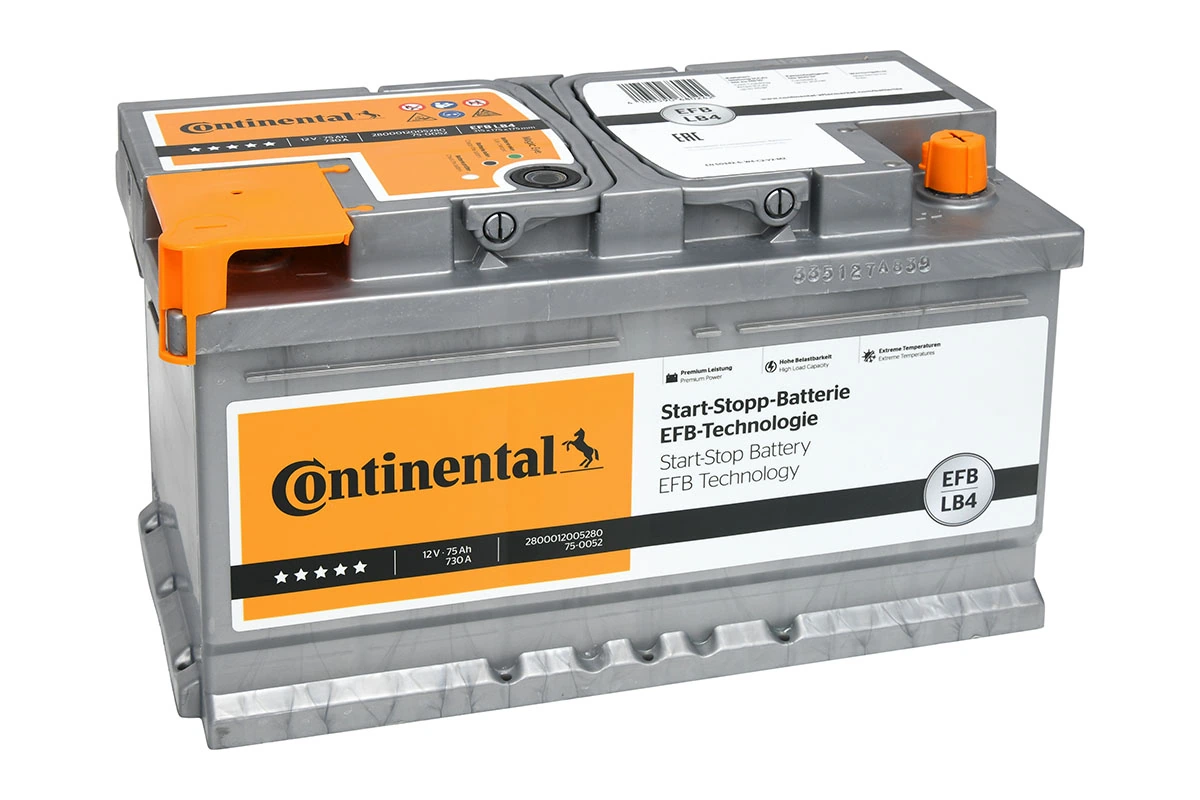 Starter Battery