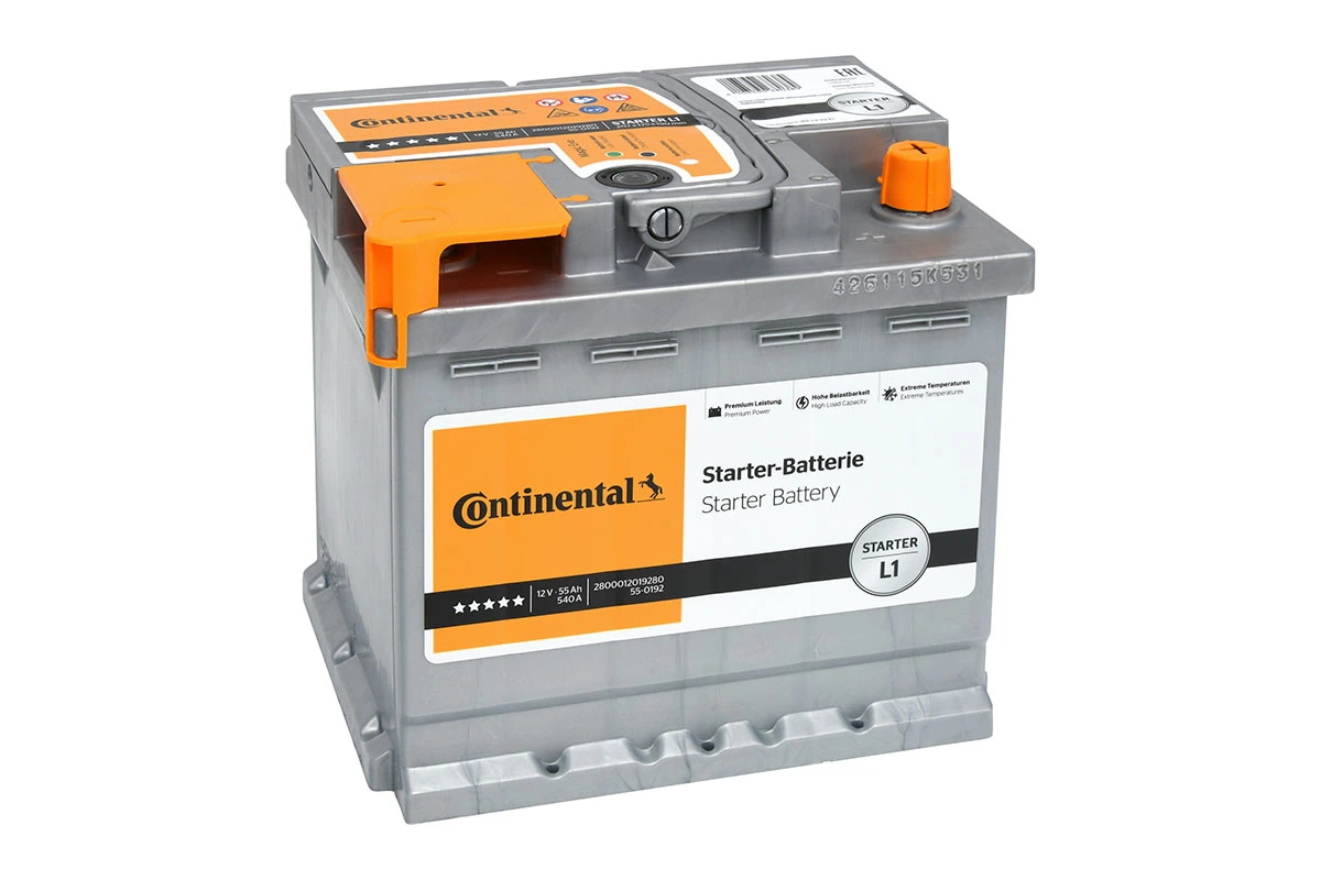 Starter Battery