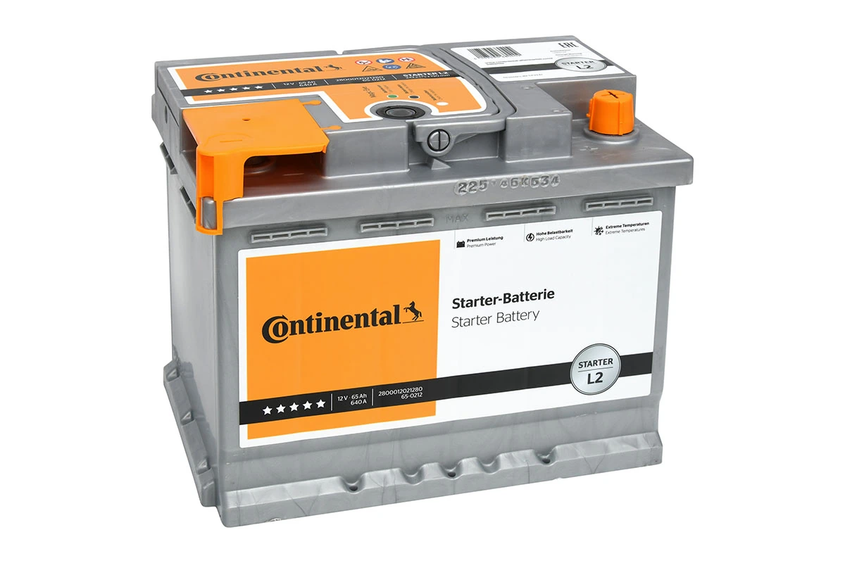 Starter Battery