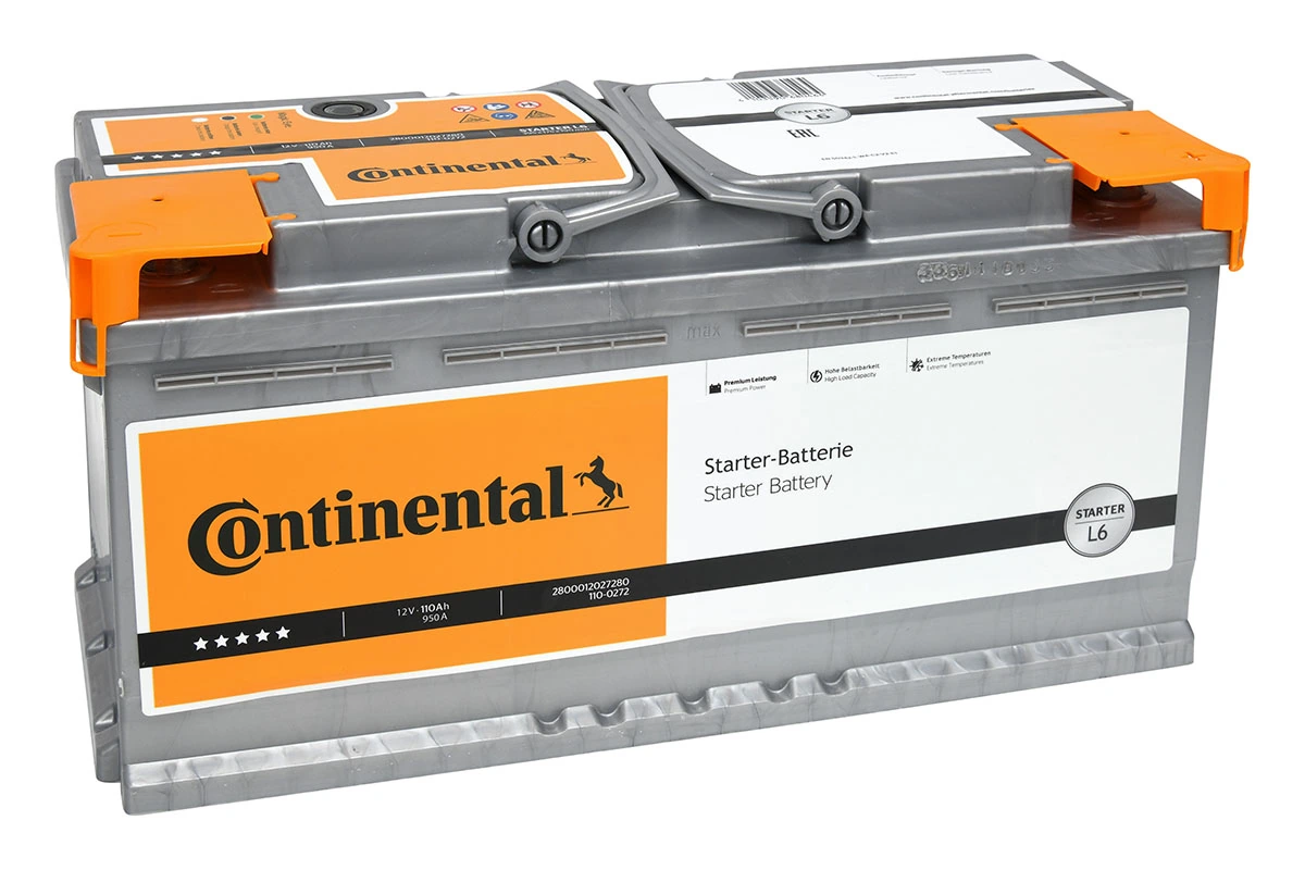 Starter Battery