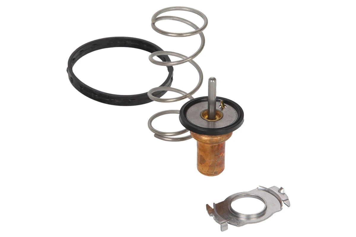 Thermostat, coolant