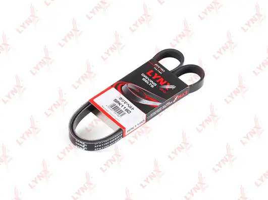V-ribbed Belt