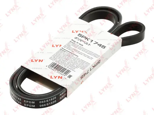 V-ribbed Belt
