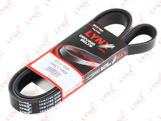 V-ribbed Belt