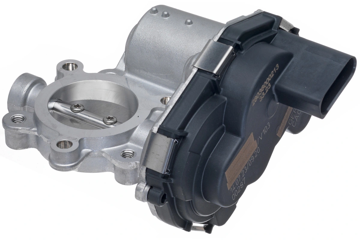 EGR Valve