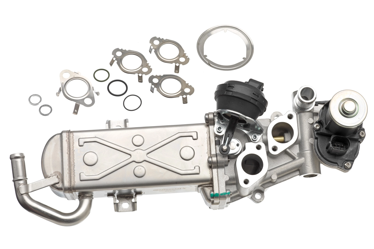 EGR Valve