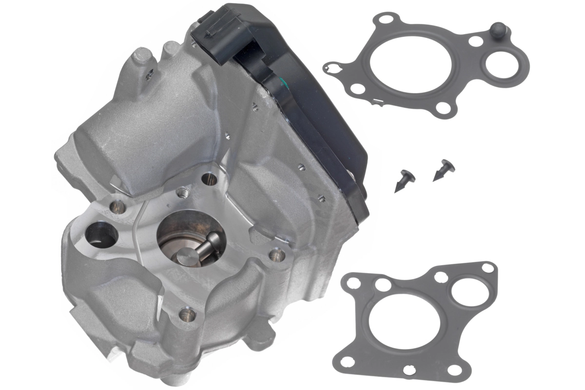 EGR Valve