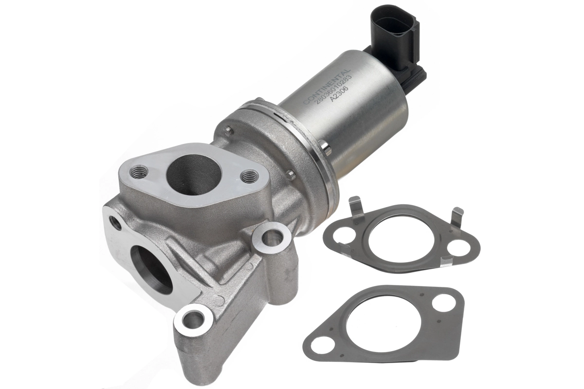 EGR Valve